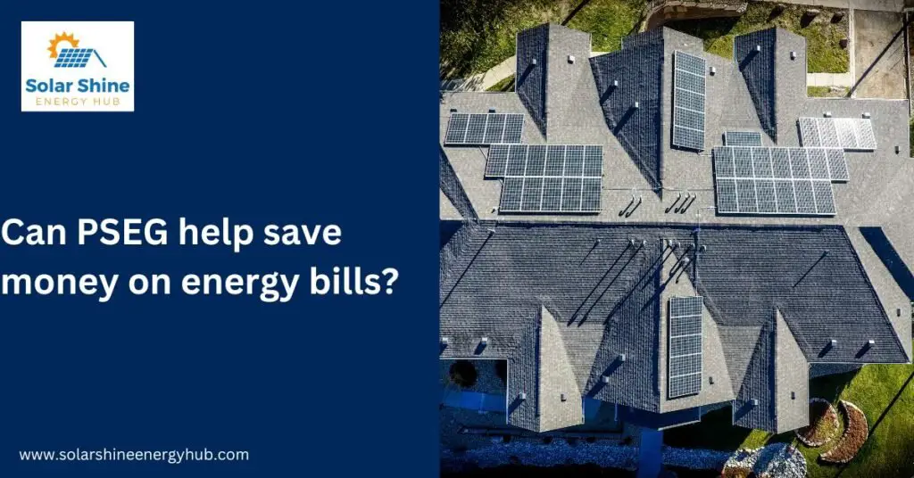 Can PSEG help save money on energy bills?